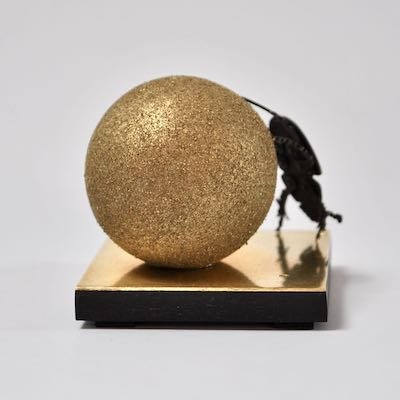 placeholder image-sq